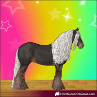 Horse Color:Liver Chestnut Mushroom 