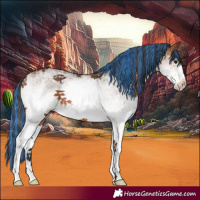 Horse Color:Painted White Spotted Bay Rabicano 