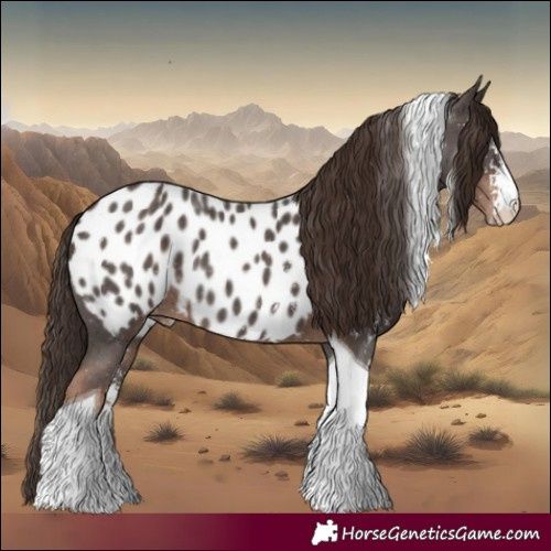 Horse Color:Liver Chestnut Sabino Tobiano Appaloosa 