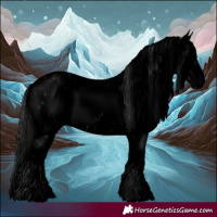 Horse Color:Void Black Splash Frame Appaloosa
