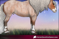 Horse Color:Silver Bay Roan Splash 
