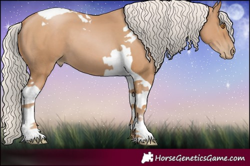 Horse Color:Silver Black Pearl Tobiano