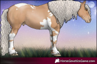 Horse Color:Silver Black Pearl Tobiano 