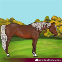 Horse Color:Silver Brown 