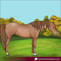 Horse Color:Brown Pearl
