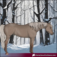 Horse Color:Silver Grullo