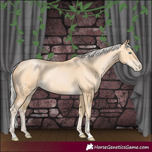 Horse Color:Silver Buckskin Pearl 