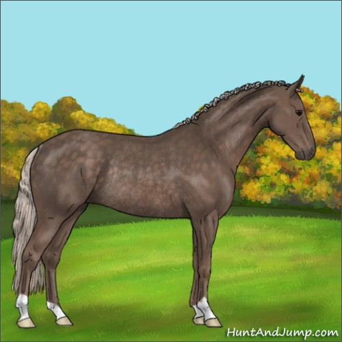 Horse Color:Silver Black Rabicano 