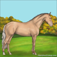 Horse Color:Silver Amber Champagne 