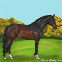 Horse Color:Brown 