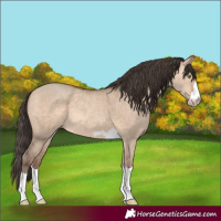 Horse Color:Amber Champagne Dun 