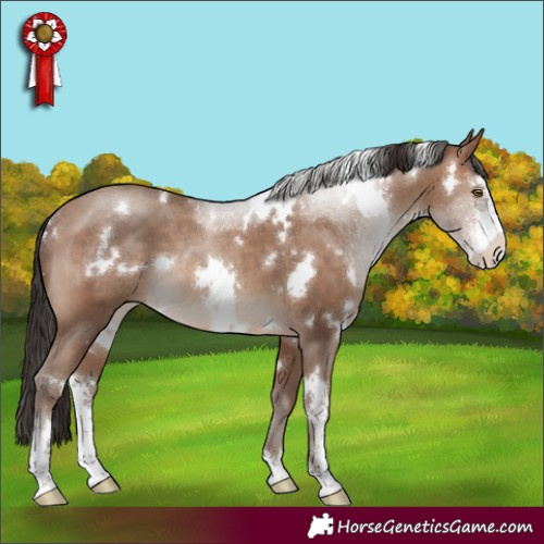 Horse Color:White Spotted Sable Champagne Sabino Rabicano