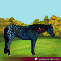 Horse Color:ERROR: UNKNOWN ANOMALY