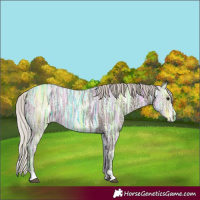 Horse Color:Silver Black Ice 