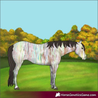 Horse Color:Bay Ice 