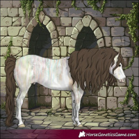 Horse Color:Buckskin Ice Sabino 
