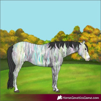 Horse Color:Black Ice 