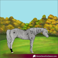 Horse Color:ERROR: UNKNOWN ANOMALY