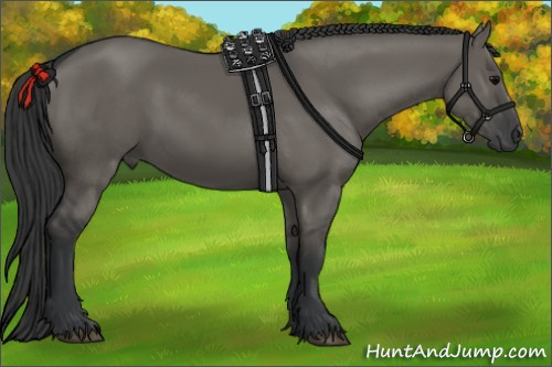 Horse Color:Grullo 