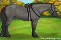 Horse Color:Grullo 
