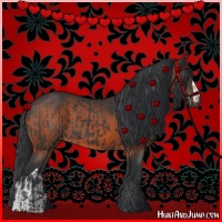 Horse Color:Black  and Brown 