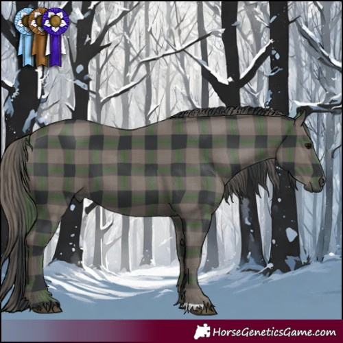 Horse Color:Platinum Plaid Black