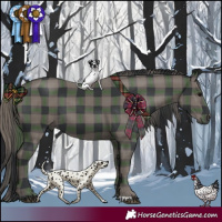 Horse Color:Platinum Plaid  Black 