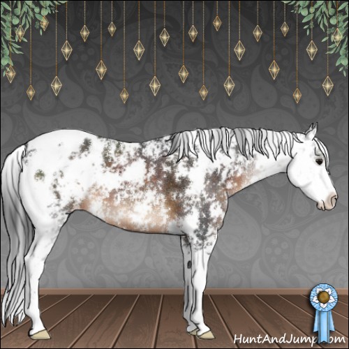 Horse Color:Brown Sabino Appaloosa 