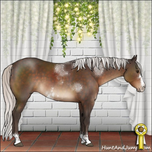 Horse Color:Silver Brown Sabino Rabicano 