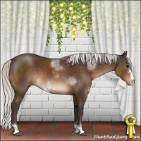 Horse Color:Silver Brown Sabino Rabicano