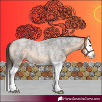 Horse Color:Buckskin Roan Splash 