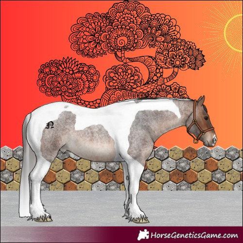 Horse Color:Brown Roan Tobiano 