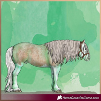 Horse Color:Silver Brown Roan Splash 
