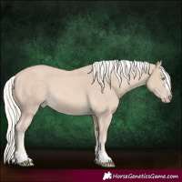 Horse Color:Cremello 