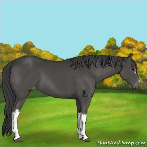 Horse Color:Black Varnish
