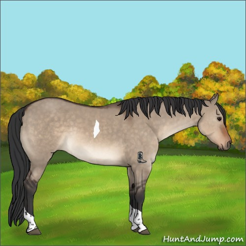 Horse Color:Brown Dun Tobiano 
