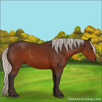 Horse Color:Silver Brown 