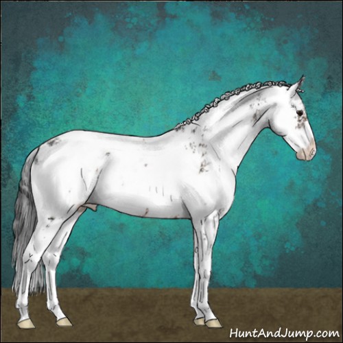 Horse Color:Brown Sabino 