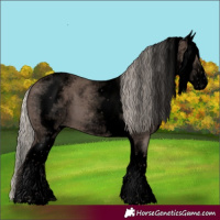Horse Color:Void White Spotted Silver Black 