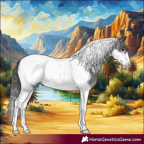 Horse Color:Black Tobiano Frame Appaloosa 