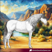 Horse Color:Black Tobiano Frame Appaloosa 