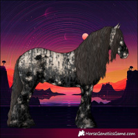 Horse Color:Black  and Void White Spotted Amber Champagne Ice Dun 