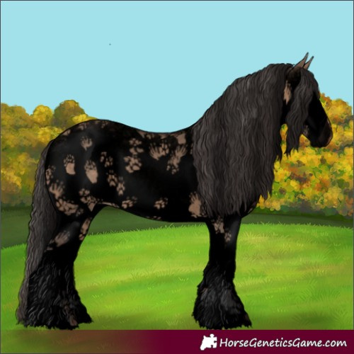Horse Color:Void White Spotted Bay Roan Dun 