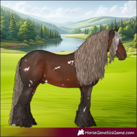 Horse Color:White Spotted Liver Chestnut 
