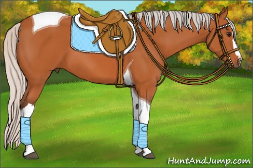 Horse Color:Silver Bay Tobiano 