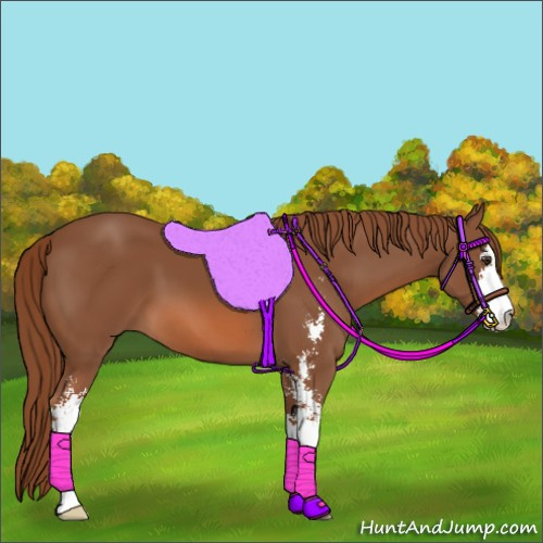 Horse Color:Chestnut Sabino 