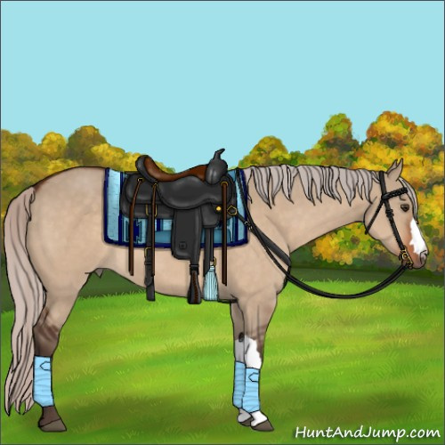 Horse Color:Silver Brown Dun 