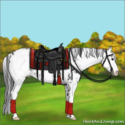 Horse Color:Black Sabino Rabicano