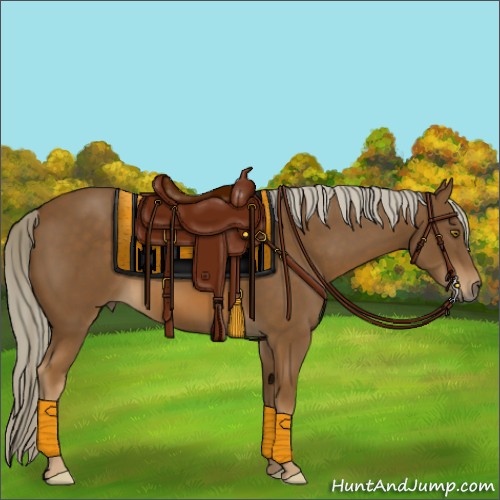 Horse Color:Chocolate Palomino 