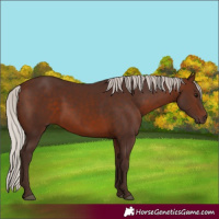 Horse Color:Silver Brown 